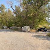 Review photo of Rainbow Park Campground — Dinosaur National Monument by Jeff K., September 19, 2020