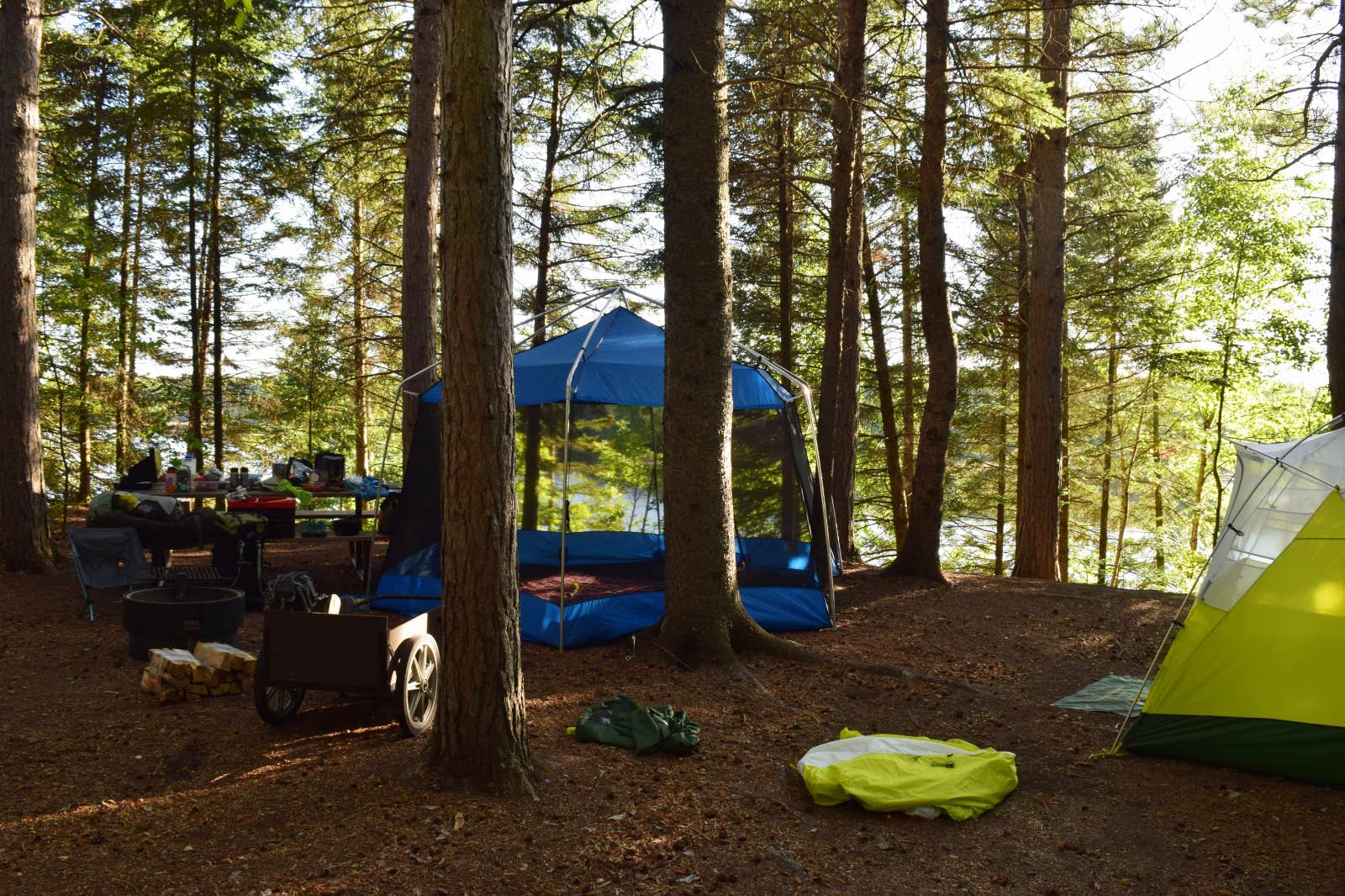 Ian Y.'s photo at Hayes Lake State Park Campground near Roseau, MN