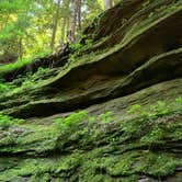 Review photo of Turkey Run State Park Campground — Turkey Run State Park by Wendy R., September 19, 2020