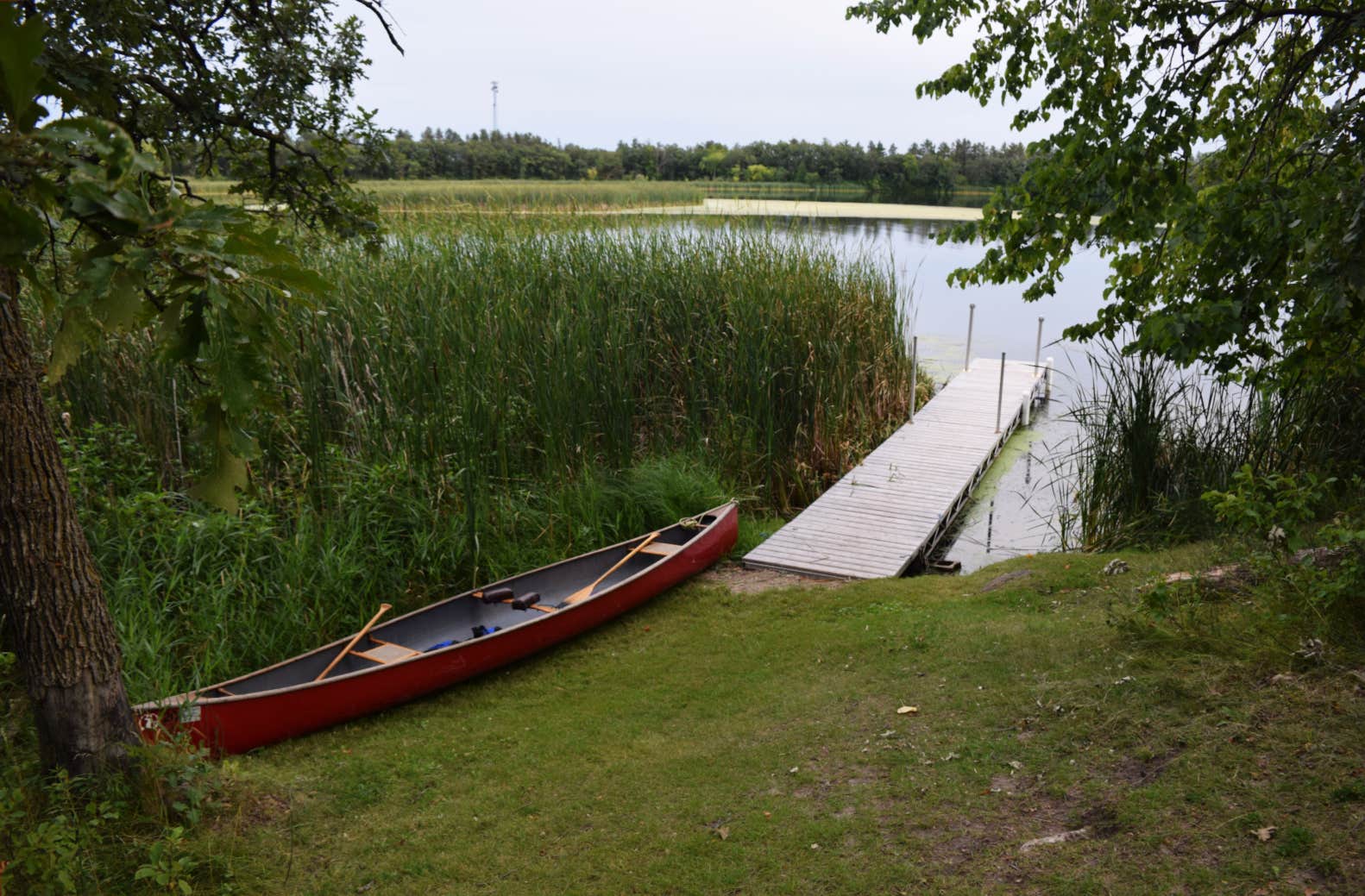 Camper-submitted photo at Lake Bronson State Park Campground near Foldahl, MN