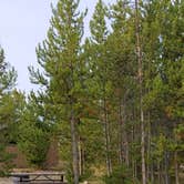 Review photo of Prospector Campground by Shelby S., September 19, 2020