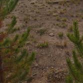 Review photo of Prospector Campground by Shelby S., September 19, 2020
