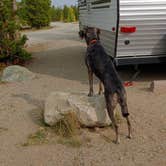 Review photo of Prospector Campground by Shelby S., September 19, 2020