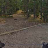 Review photo of Prospector Campground by Shelby S., September 19, 2020