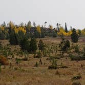 Review photo of Prospector Campground by Shelby S., September 19, 2020
