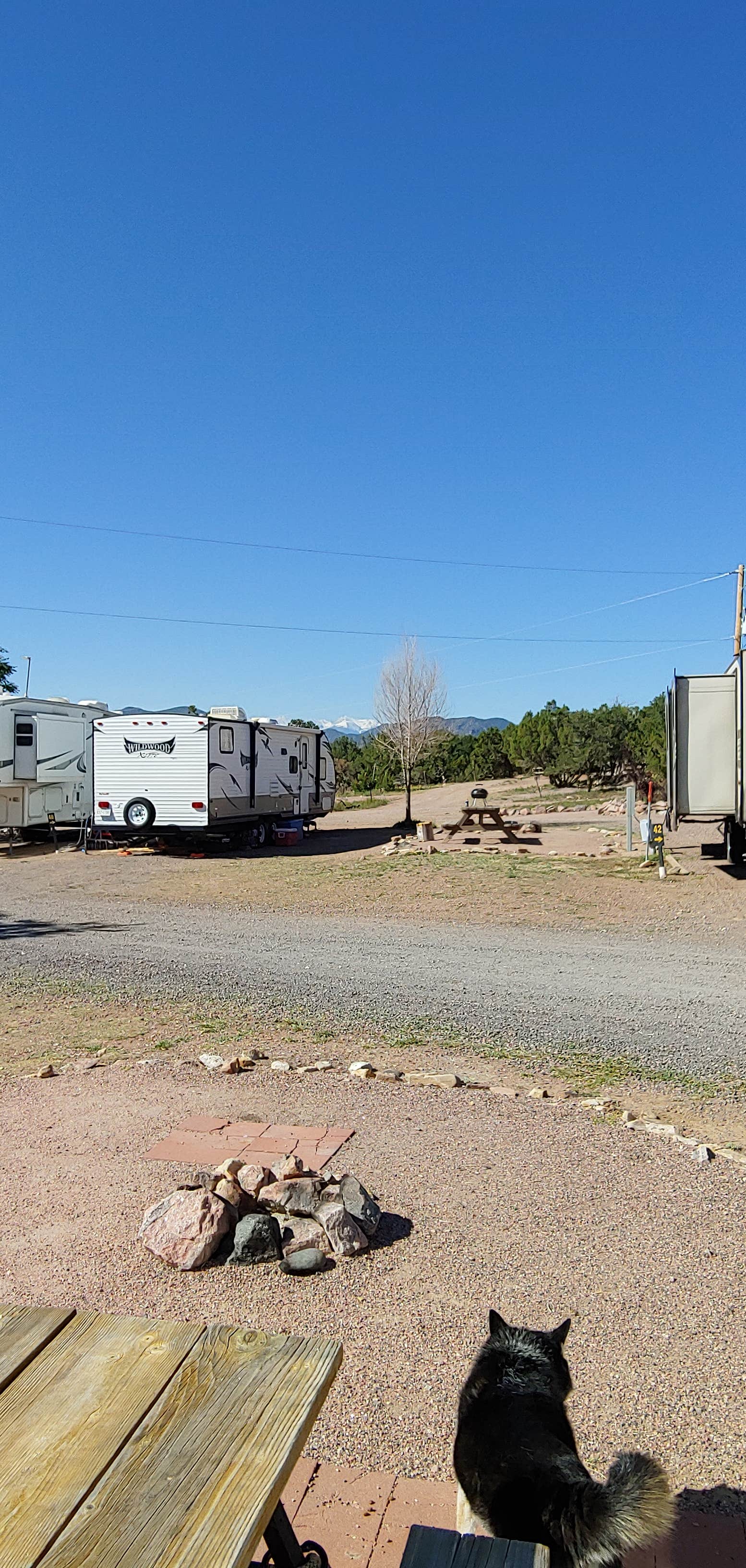 Shelby S.'s photo of camping with pets at Royal Gorge-Canon City KOA near Westcliffe, CO