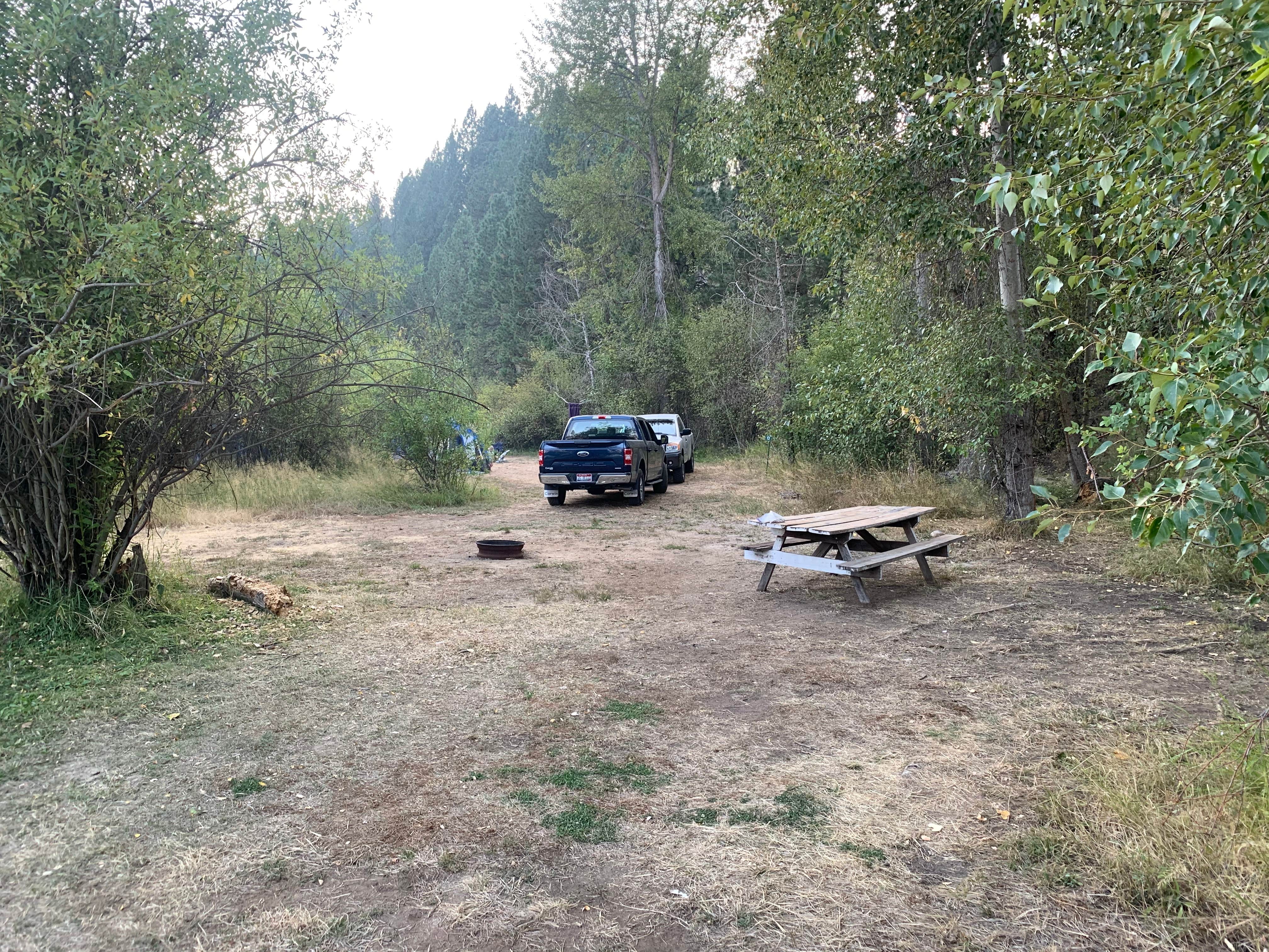 Camper submitted image from River Pond Campground - 3