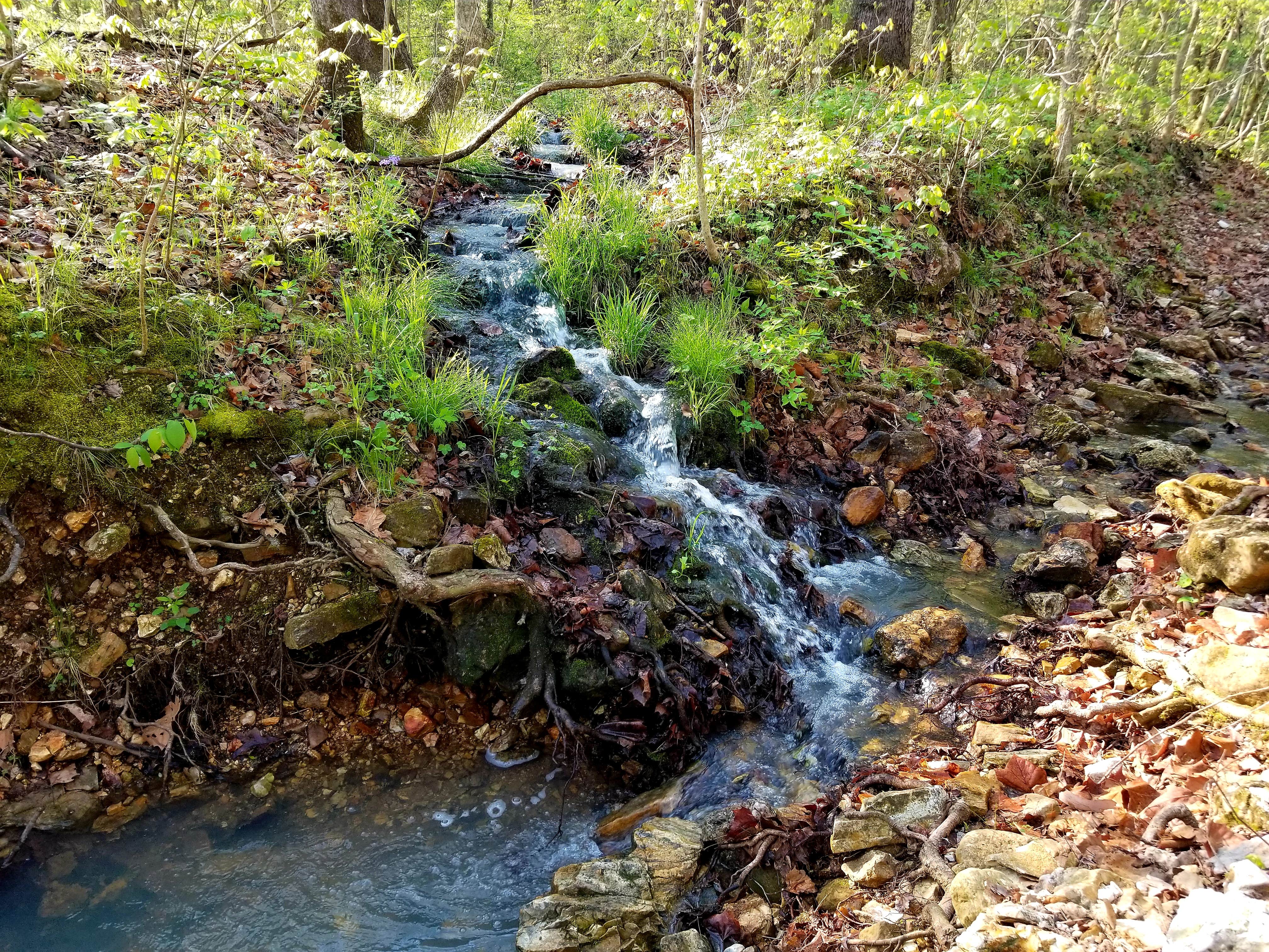 Meramec State Park Campground