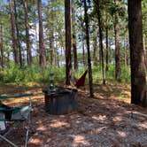 Review photo of Turkey Fork Rec Area by Alicia L., September 9, 2020