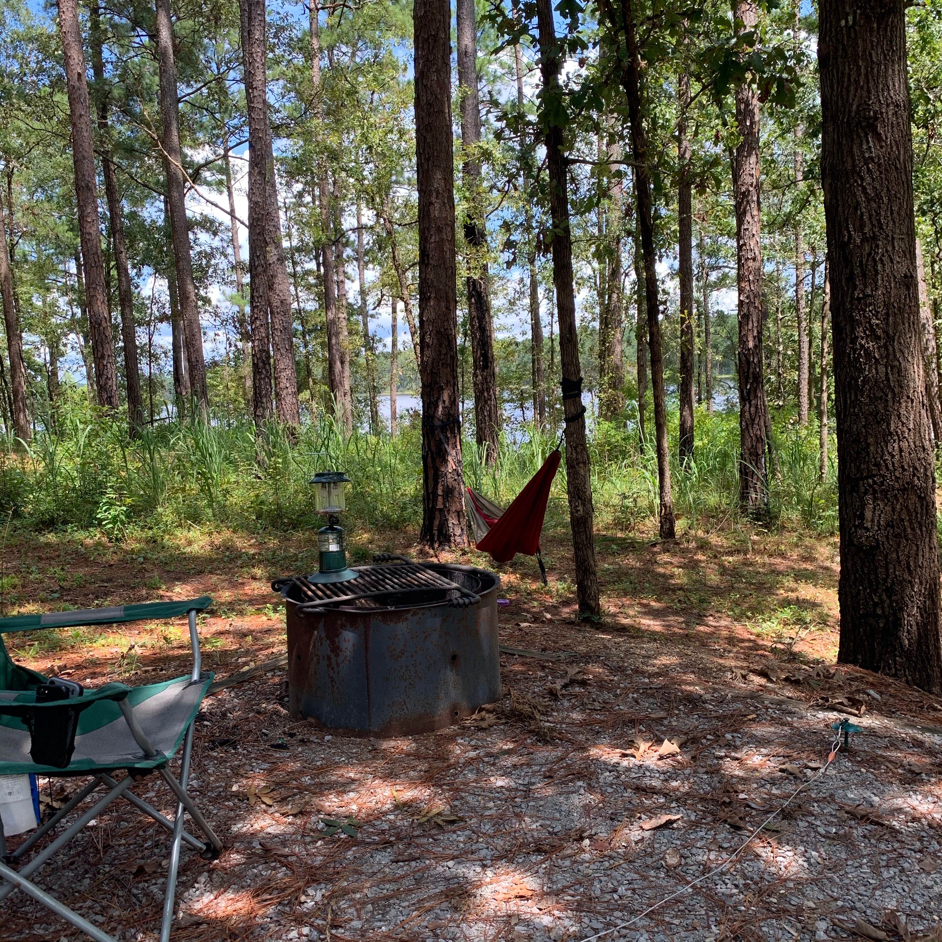 Camper submitted image from Turkey Fork Rec Area - 2