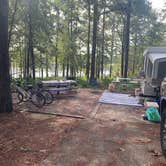 Review photo of Turkey Fork Rec Area by Alicia L., September 9, 2020