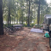 Review photo of Turkey Fork Rec Area by Alicia L., September 9, 2020