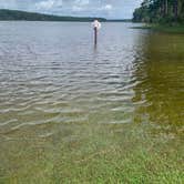 Review photo of Turkey Fork Rec Area by Alicia L., September 9, 2020