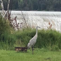 Loons Point RV Park & Campground