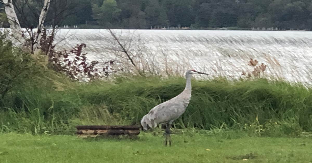 Camper-Submitted Photos of Loons Point RV Park & Campground