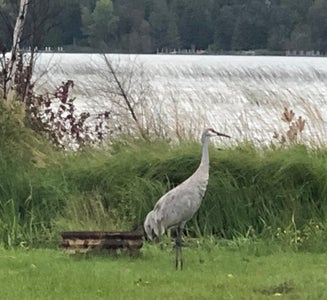 Camper-submitted photo from Loons Point RV Park & Campground