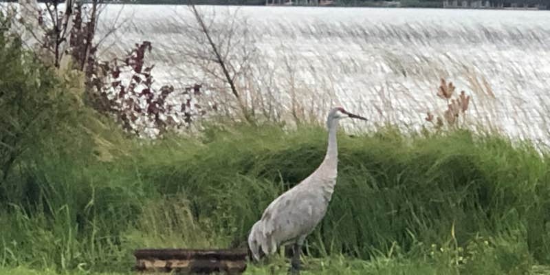Camper submitted image from Loons Point RV Park & Campground