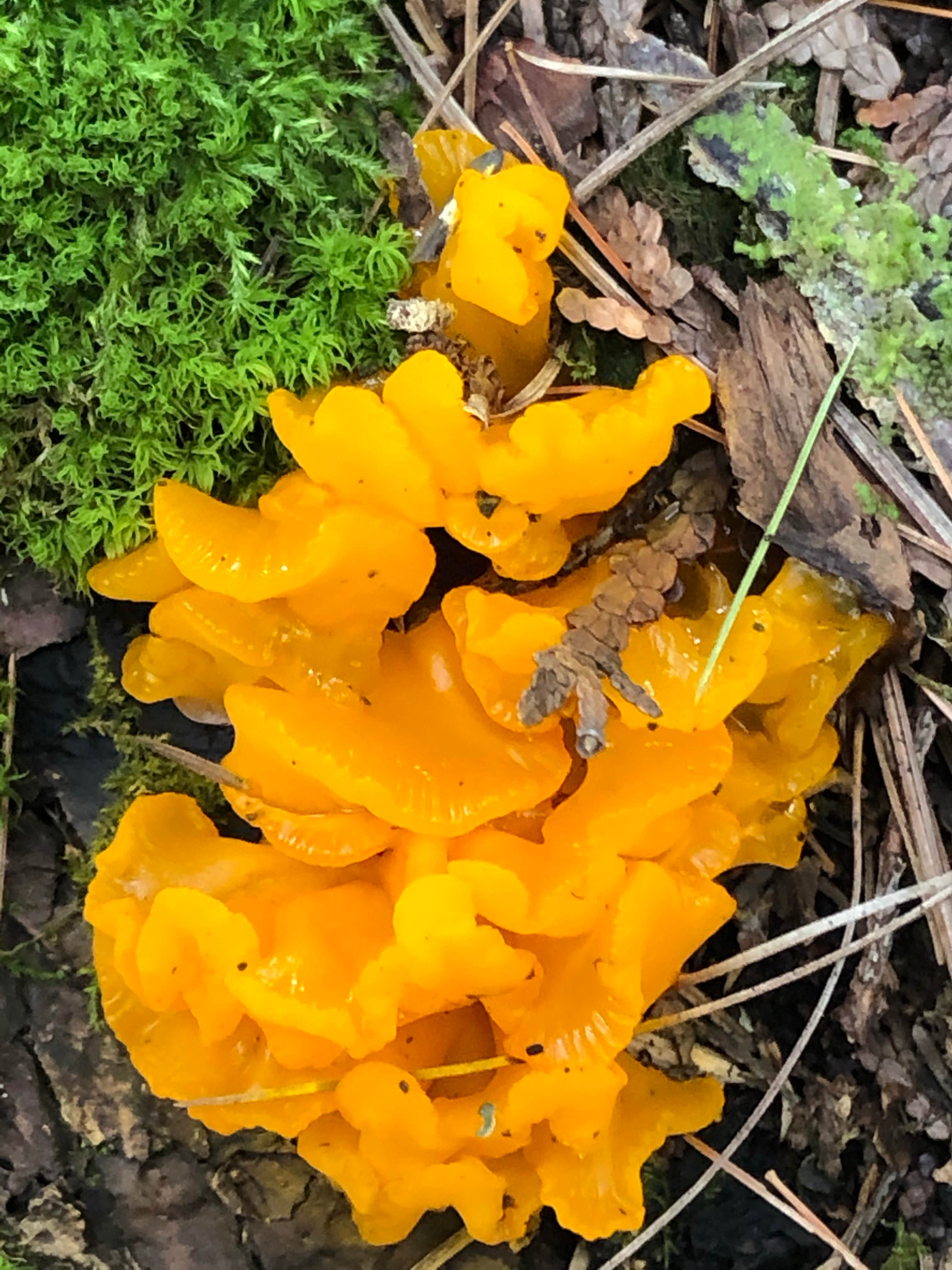 Camper-submitted photo at Loons Point RV Park & Campground near Rudyard, MI