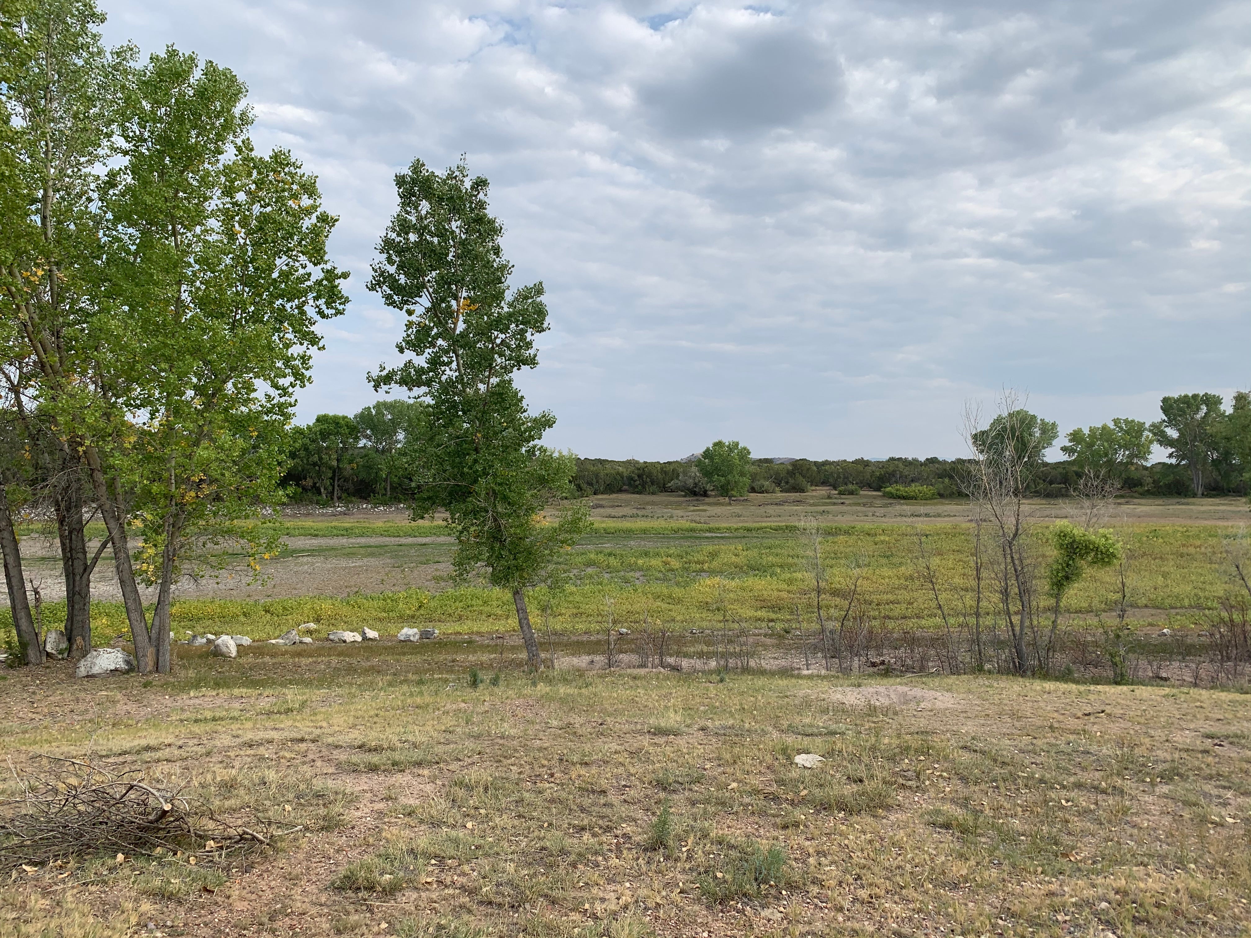 Camper submitted image from Concho lake - 2