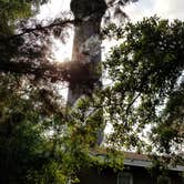 Review photo of Anastasia State Park Campground by Timothy B., September 19, 2020