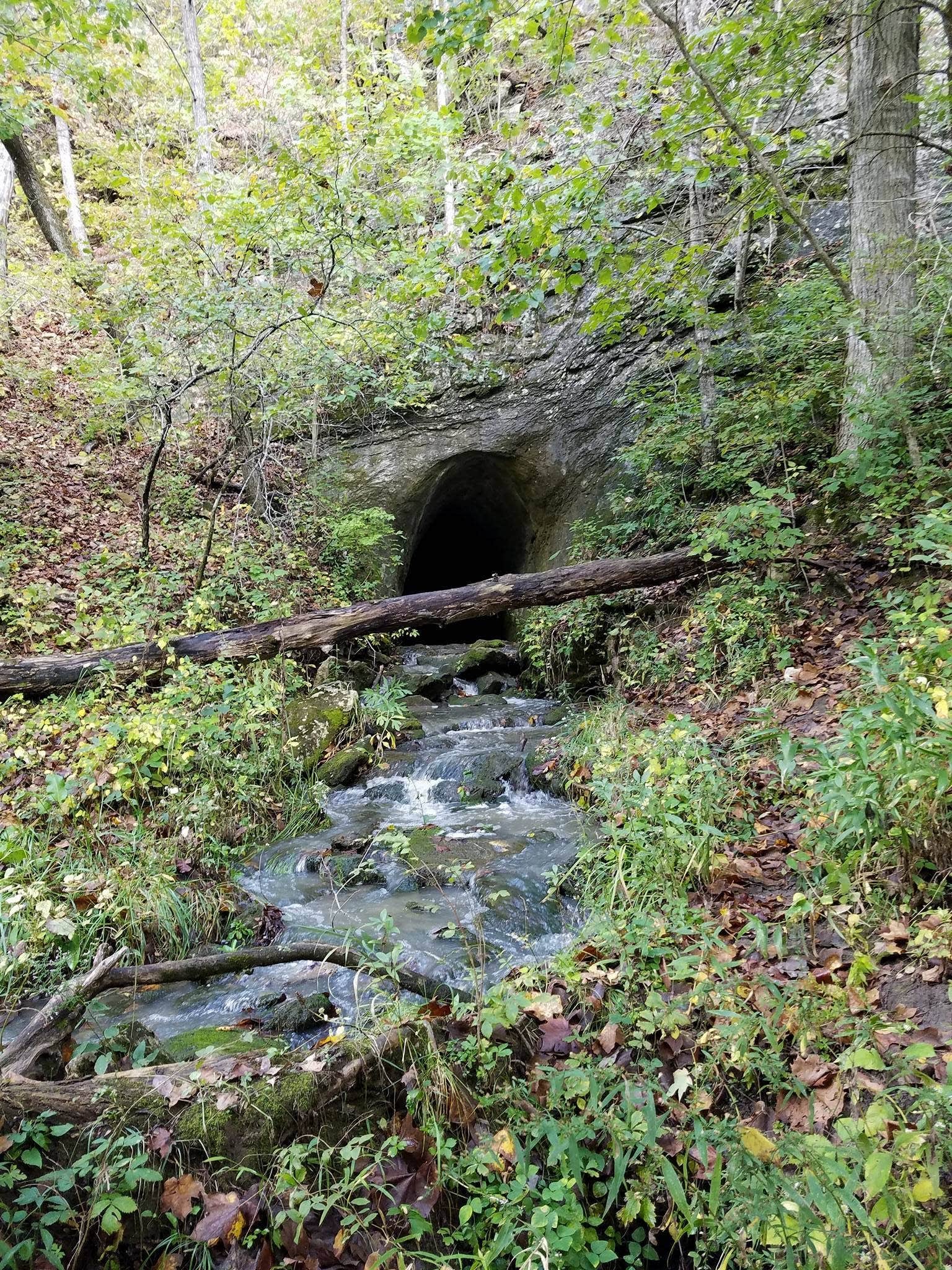 Camper-submitted photo at Rock Bridge Memorial State Park - Educational Scout Camps near Nelson, MO