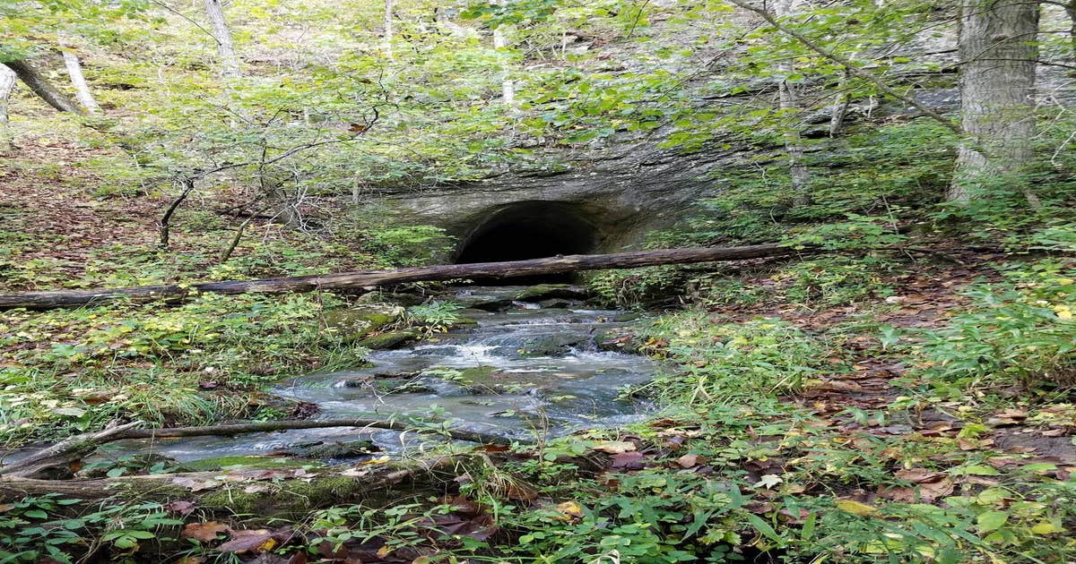 Rock Bridge Memorial State Park - Educational Scout Camps