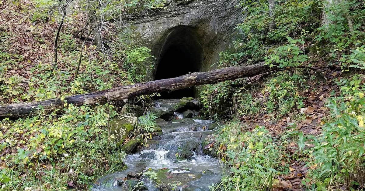Rock Bridge Memorial State Park - Educational Scout Camps