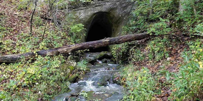 Camper submitted image from Rock Bridge Memorial State Park - Educational Scout Camps