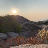 Review photo of Culp Valley Primitive Campground — Anza-Borrego Desert State Park by C.J. , September 19, 2020