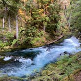 Review photo of Belknap Hot Springs Lodge and Gardens by Blaine B., September 19, 2020