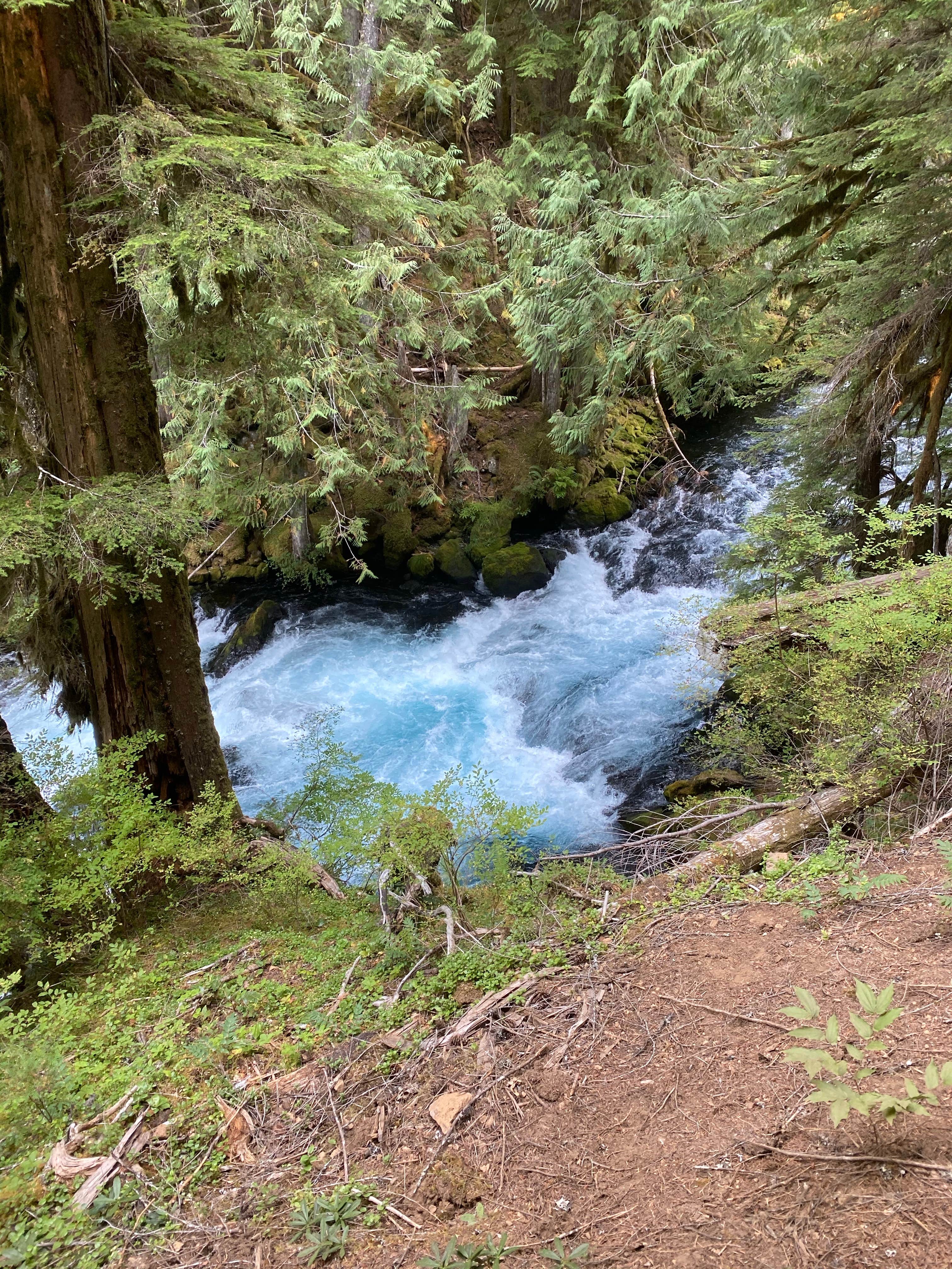 Camper-submitted photo at Belknap Hot Springs Lodge and Gardens near Foster, OR