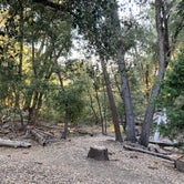 Review photo of William Heise County Park by C.J. , September 19, 2020