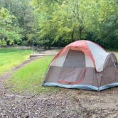 Review photo of Spring Creek Primitive Campground — Mousetail Landing State Park by Carrie W., September 19, 2020