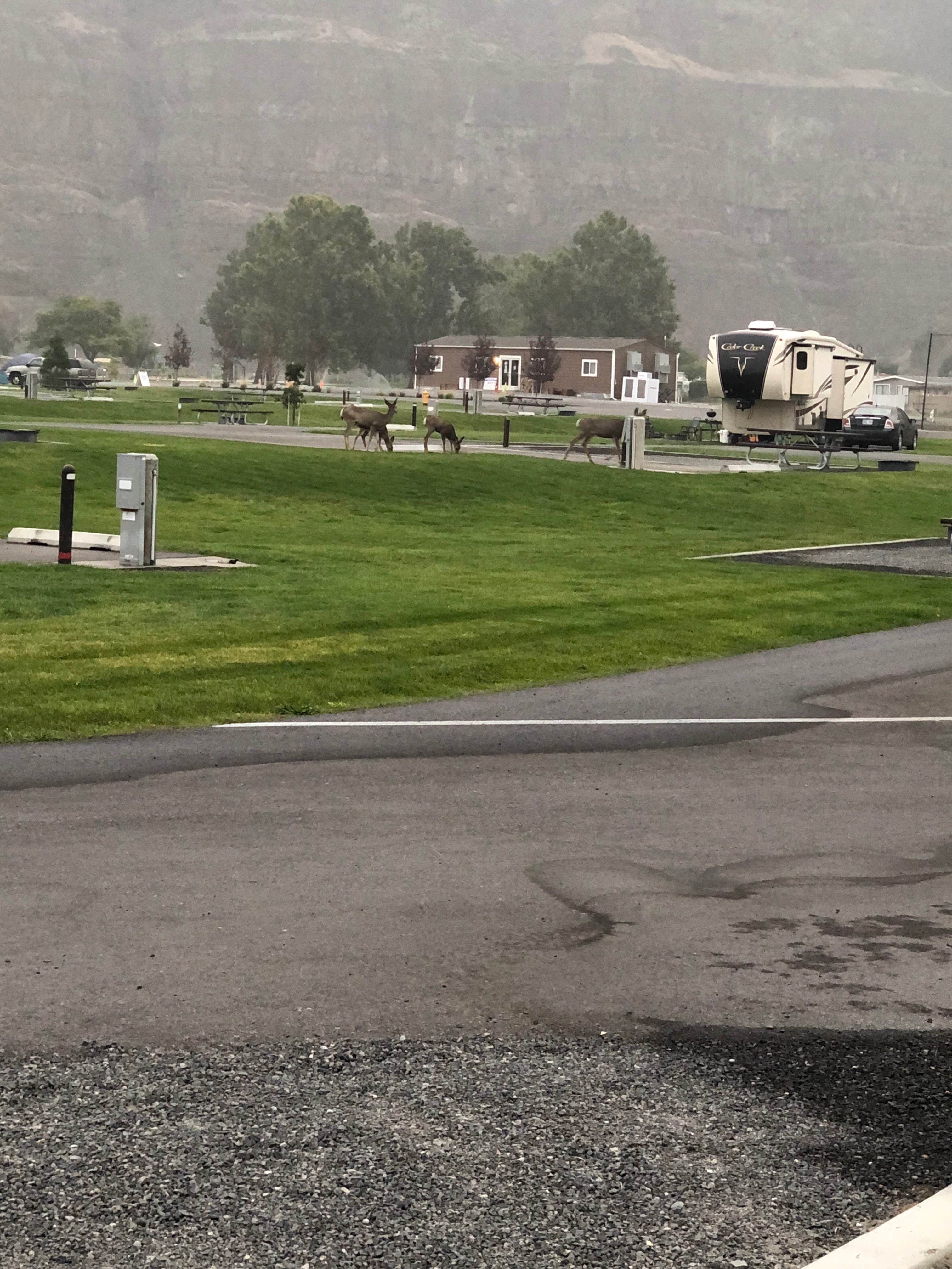 Brad's photo of rv camping at Crescent Bar Campground (Grant PUD Crescent Bar Recreation Area) near Vantage, WA