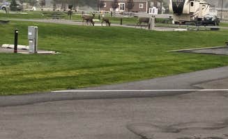 Brad's photo of rv camping at Crescent Bar Campground (Grant PUD Crescent Bar Recreation Area) near Quincy, WA