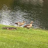 Review photo of Mill Creek Ranch RV & Cottage Resort by Jeanne B., September 19, 2020