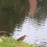 Review photo of Mill Creek Ranch RV & Cottage Resort by Jeanne B., September 19, 2020