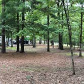 Review photo of Tallulah Gorge State Park Campground by Caitlin , September 19, 2020