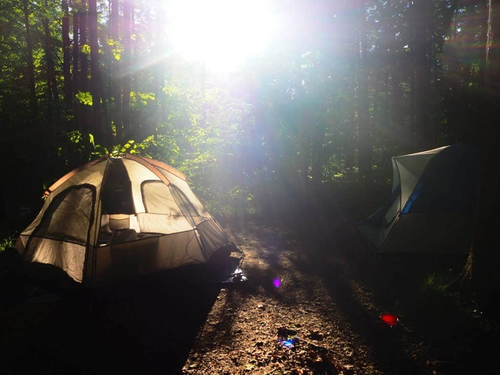 Christine J.'s photo at Lyman Run State Park Campground near Westfield, PA