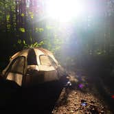 Review photo of Lyman Run State Park Campground by Christine J., September 19, 2020