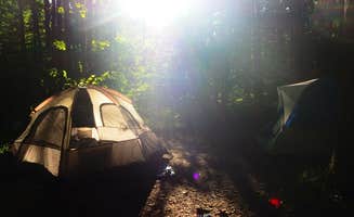 Christine J.'s photo at Lyman Run State Park Campground near Gaines, PA
