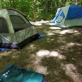 Review photo of Lyman Run State Park Campground by Christine J., September 19, 2020