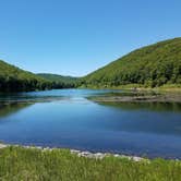 Review photo of Lyman Run State Park Campground by Christine J., September 19, 2020