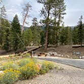 Review photo of McWilliams Campground by Brittney  C., September 19, 2020