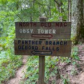 Review photo of Frozen Head State Park Campground by Carissa D., September 19, 2020