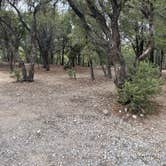 Review photo of Champion Road Dispersed Campsites by Brittney  C., September 19, 2020