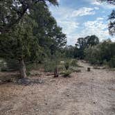 Review photo of Champion Road Dispersed Campsites by Brittney  C., September 19, 2020