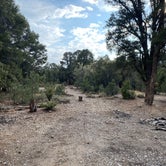 Review photo of Champion Road Dispersed Campsites by Brittney  C., September 19, 2020