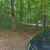 Review photo of Wild River State Park Campground by Dani K., September 19, 2020