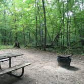 Review photo of Wild River State Park Campground by Dani K., September 19, 2020